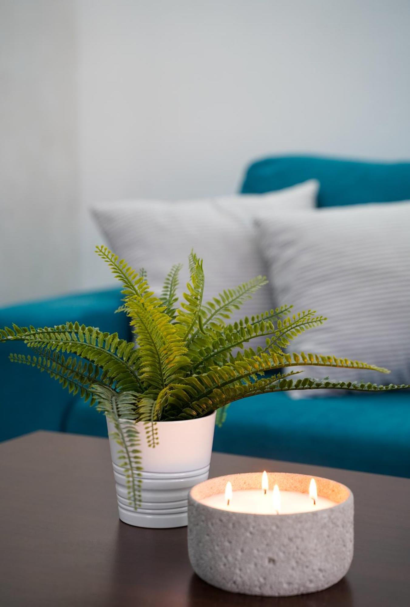 Gardenlux Vrdnik Apartment ภายนอก รูปภาพ