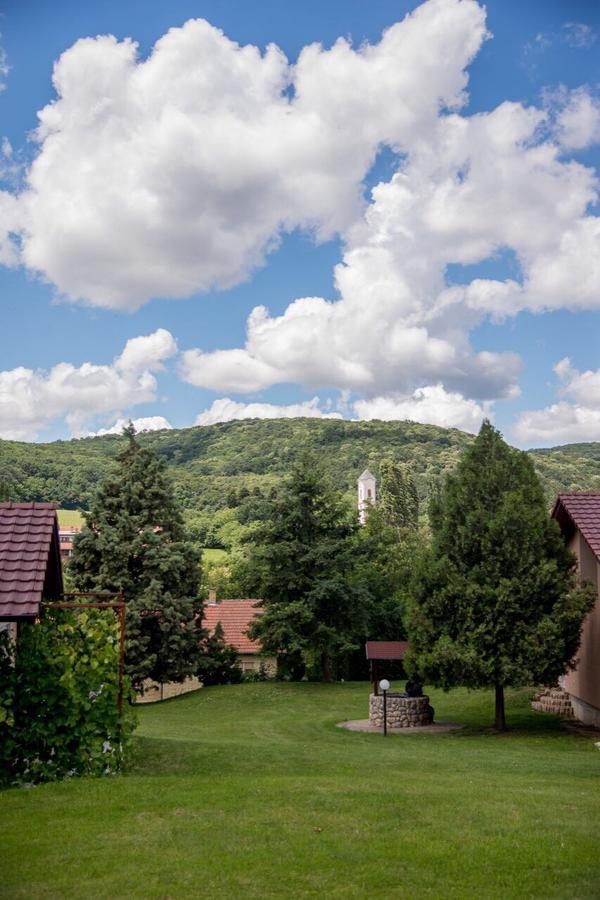 Gardenlux Vrdnik Apartment ภายนอก รูปภาพ